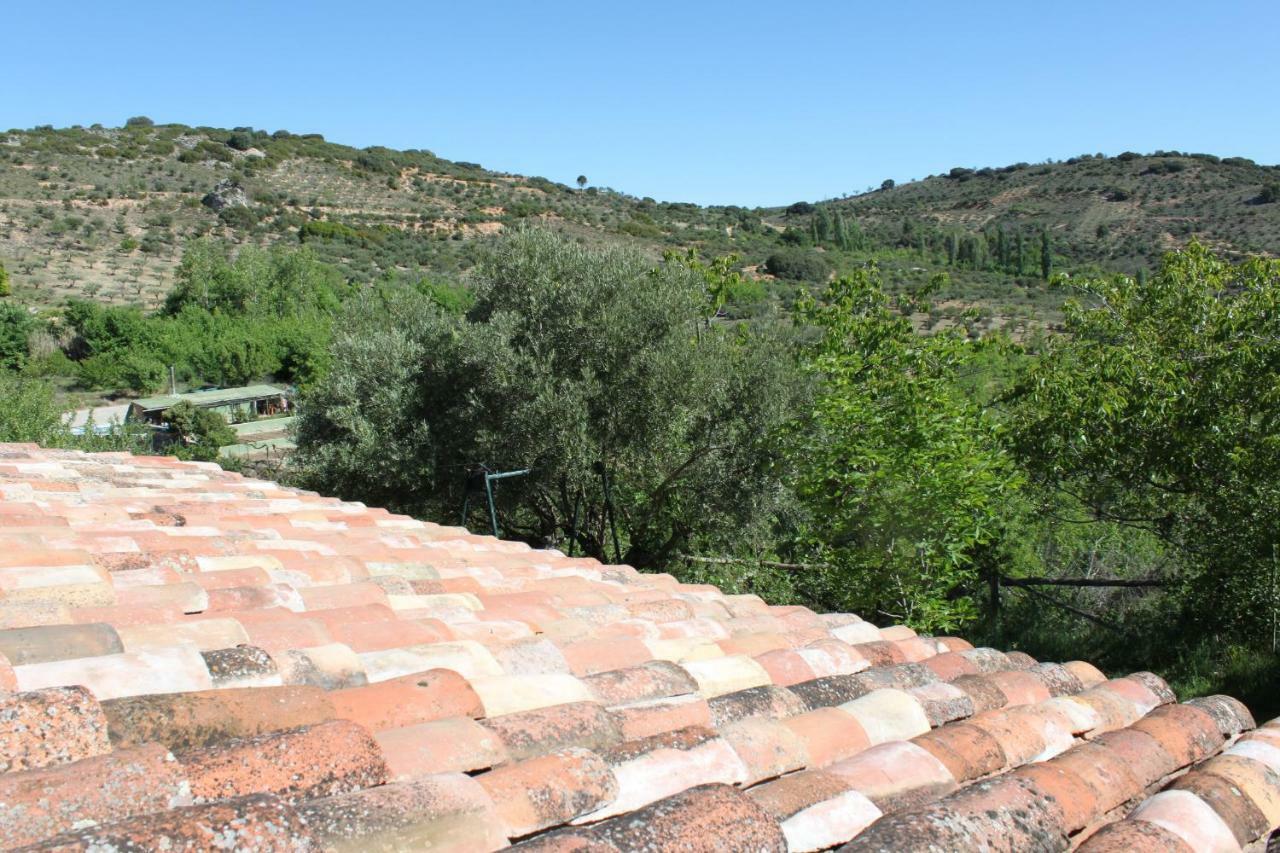 Maison d'hôtes El Zarzal à Horche Extérieur photo