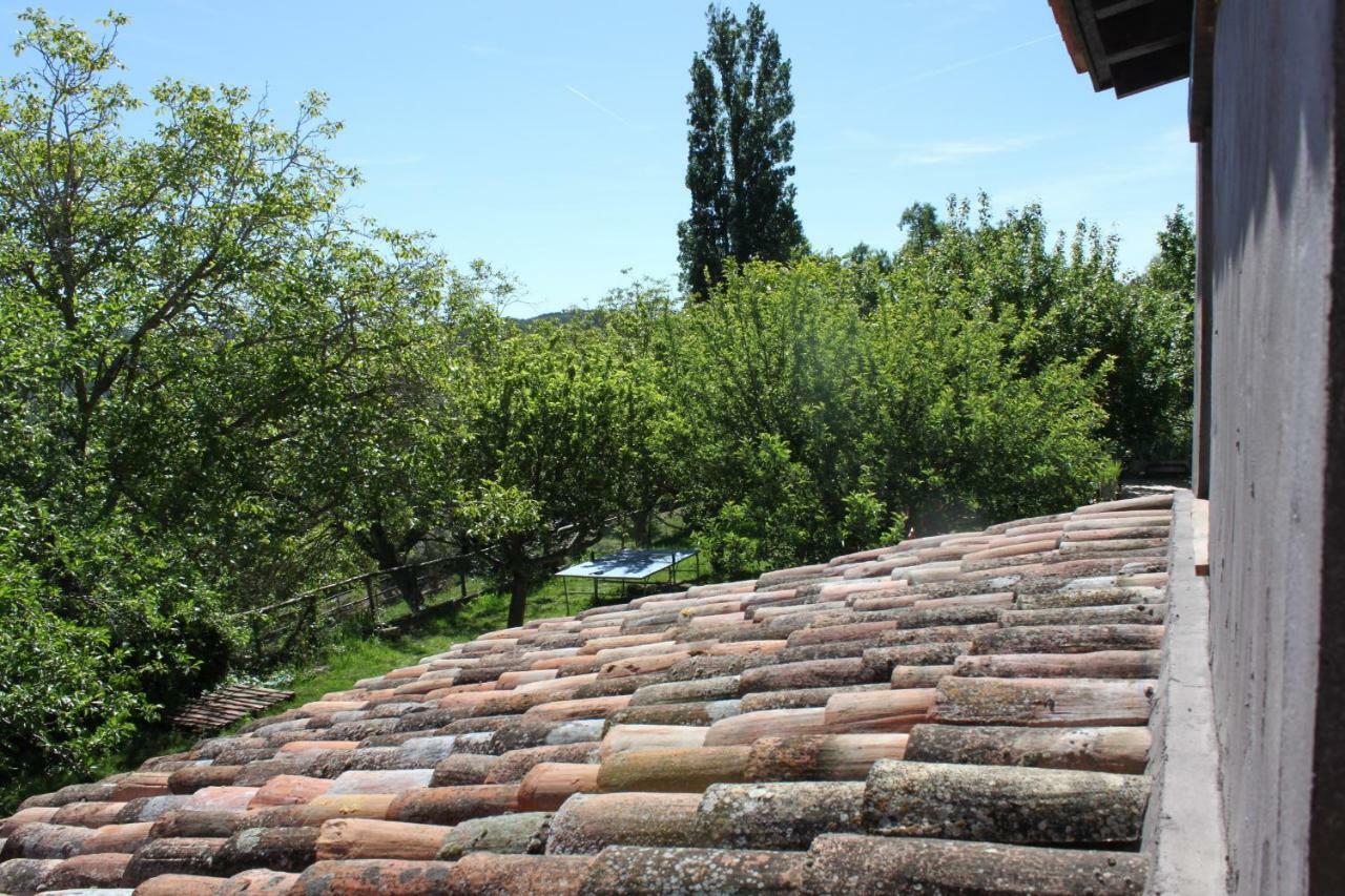 Maison d'hôtes El Zarzal à Horche Extérieur photo